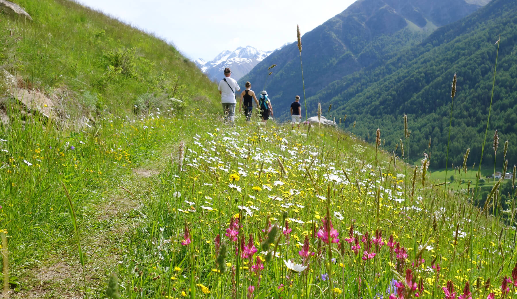 Juni­wanderungen In Südtirol | Peer.travel